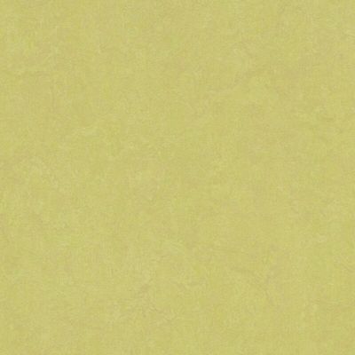 Marmoleum Marbled, Fresco spring buds 3885 2.5 mm, 2 x u.33 m