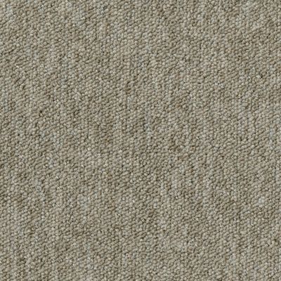 Desso Essence AA90 2915 50x50, 5.5 mm, 500, 500