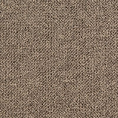 Desso Essence AA90 2925 50x50, 5.5 mm, 500, 500