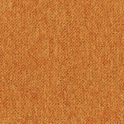 Desso Essence AB05 5420 50x50, 5.5 mm, 500, 500