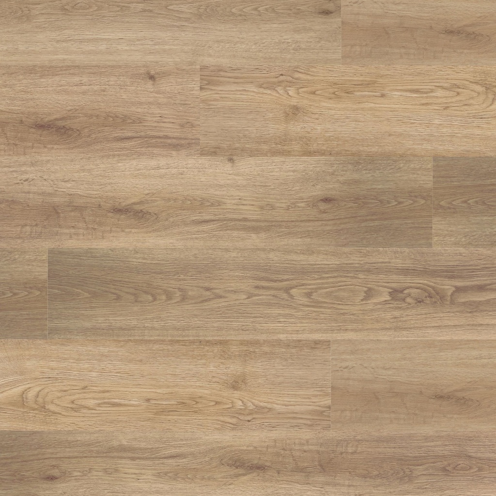 Polyflor Click LVT 2868 wild natural oak 4,5mm 177x1212