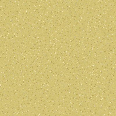 Voyager NXT, basin M55 2.2 mm, 2 x 25 m