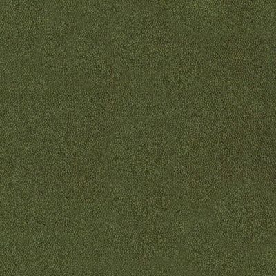 [712211002] Desso Asteranne, Asteranne A411 7922 9.5 mm, 5x25m